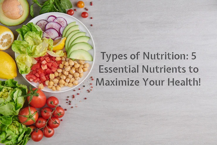 types of nutrition
